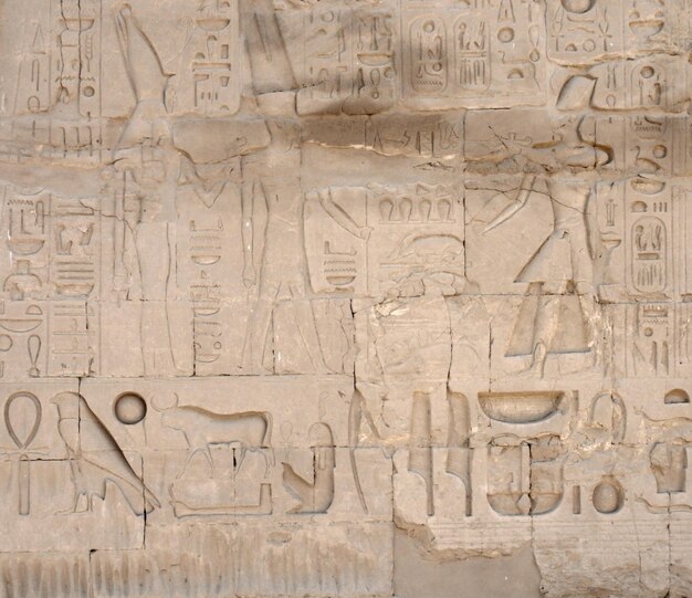 Relieve en el recinto de AmunRe en Egipto