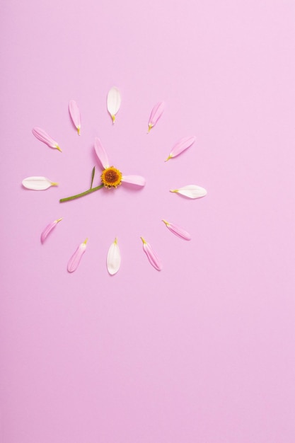 Foto relógio abstrato feito de pétalas de flores em fundo rosa