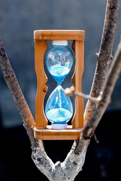 Reloj de arena en un árbol en tiempo soleado