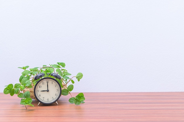 Reloj y una planta en el escritorio.