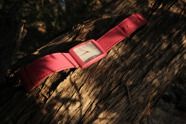 Foto reloj de pulsera rosa en el árbol.