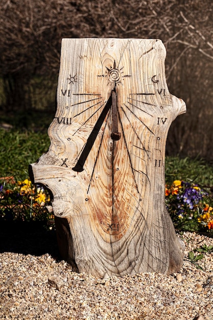 Foto reloj de sol en el tronco de un árbol con números romanos