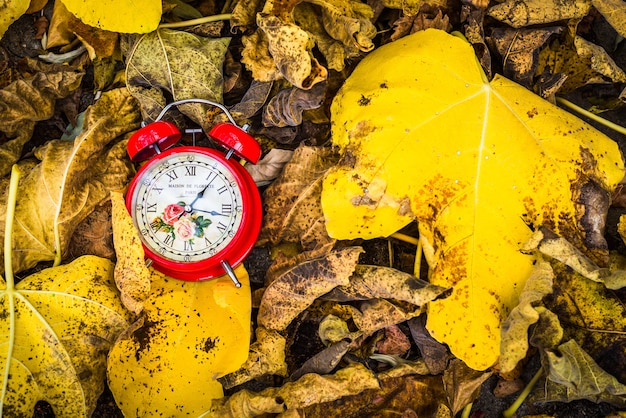 Reloj de la vendimia roja en hojas de otoño amarillo