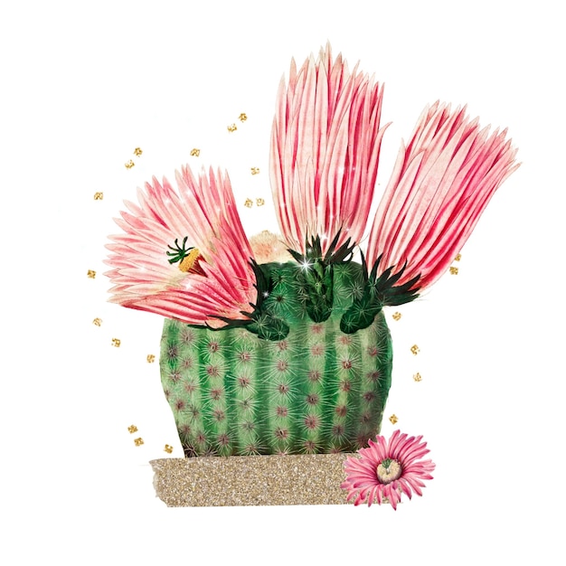 Remezclas creativas botánicas de flores de cactus