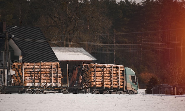 Remolque de camión de carga de portador de madera con gran exportación de madera de pino y cedro