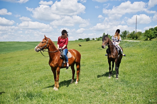 Remolque chicas guapas jóvenes montando caballos en un campo en un día soleado