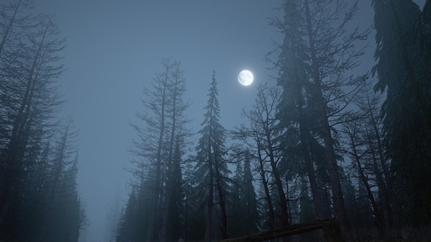 Render 3D del bosque místico por la noche en la niebla con la luna en el cielo