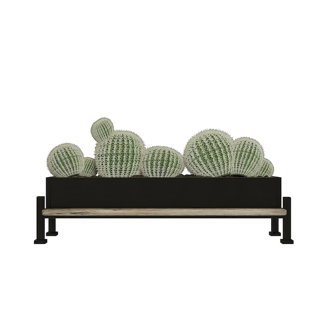 Render 3D de cactus en el interior.