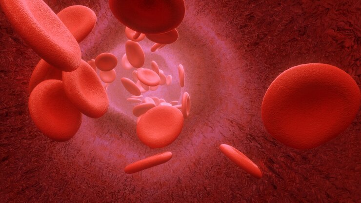Render 3D Células sanguíneas que fluyen a través de arterias o venas