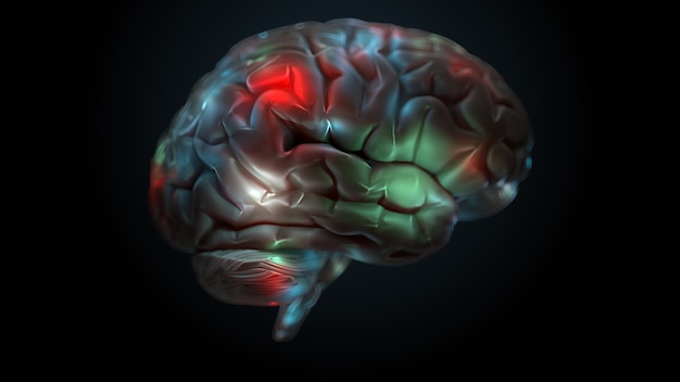 Render 3D del cerebro con zonas iluminadas y brillantes. La superficie del cerebro está resaltada con diferentes colores.