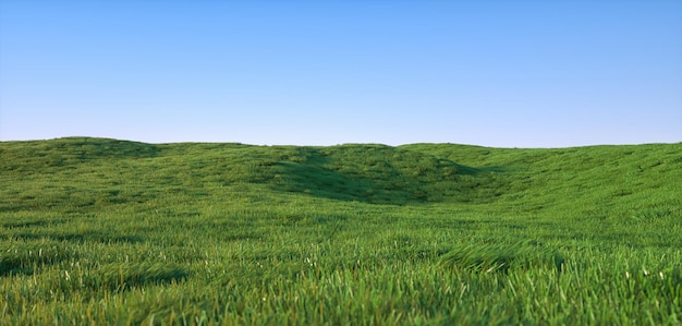 Renderização 3D da paisagem do campo de grama verde