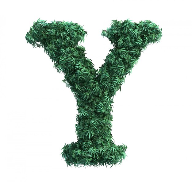 Renderização 3D de folhas de maconha formando letra Y