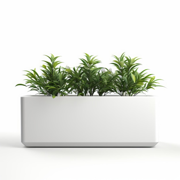 Renderização 3D de plantas verdes em caixa branca isolada em fundo branco