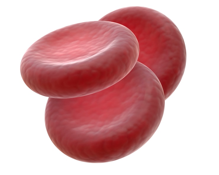Foto renderização 3d de três glóbulos vermelhos, também chamados de eritrócitos, são células que circulam no sangue e transportam oxigênio por todo o corpo