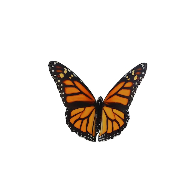 Foto renderização 3d de uma borboleta monarca em fundo branco
