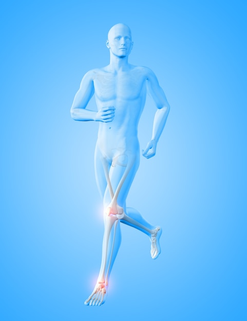 Renderização 3D de uma figura médica masculina correndo com os ossos do joelho e tornozelo em destaque