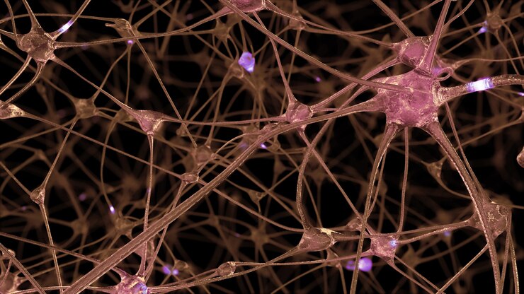 Foto renderização 3d de uma rede de células neuronais e sinapses através das quais os impulsos elétricos e descargas passam durante a transmissão de informações dentro do cérebro humano