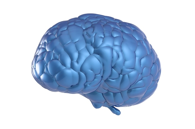 Renderização 3D do cérebro azul no fundo branco