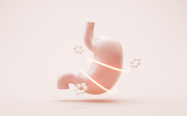 Renderização 3D do estômago e da absorção de nutrientes