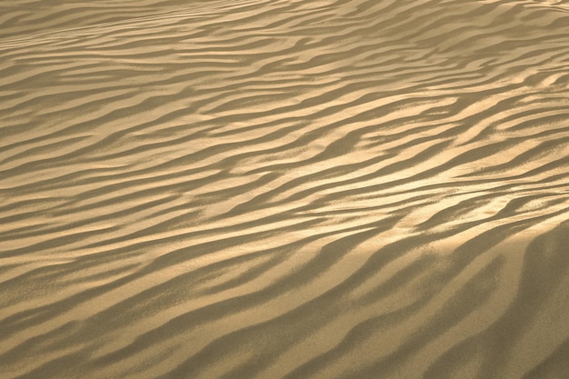 Foto renderização 3d do vasto deserto com formas de listras imagem digital de computador