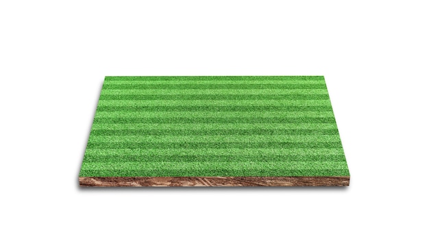 Renderização 3d. faixa de campo de gramado de futebol, campo de futebol de grama verde, isolado no fundo branco.