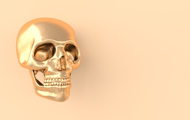 Renderização de scull humano