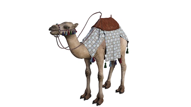 Renderizado en 3D de Camel sobre un fondo blanco