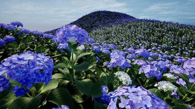 Renderizado en 3D de flores de hortensia paisaje de colinas verdes