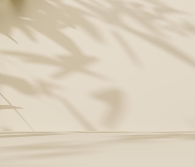 Renderizado en 3D de un fondo botánico discreto con sombra en la pared