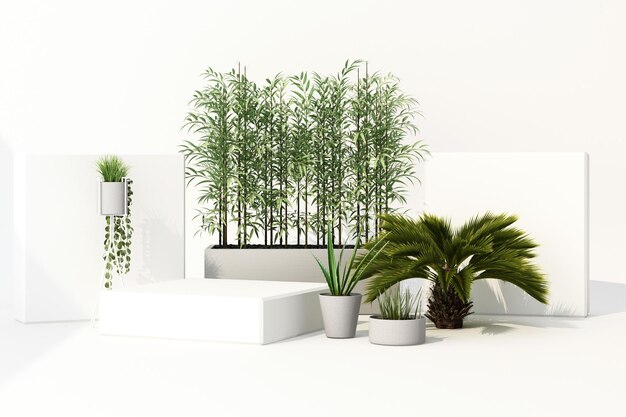 Foto renderizado en 3d de plantas tropicales aisladas sobre un fondo blanco