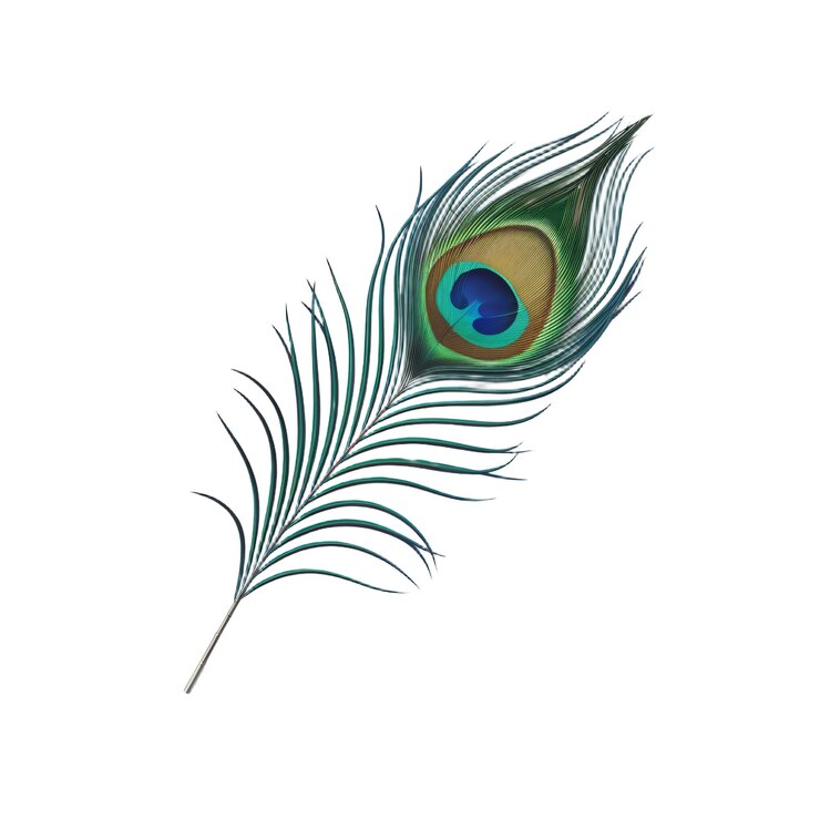 Renderizado en 3D de una pluma de pavo real de estilo dibujos animados minimalista aislada sobre un fondo blanco