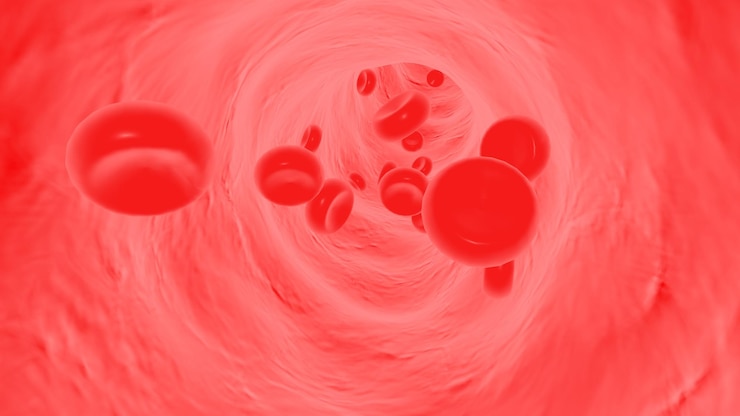 Foto renderizado 3dlos glóbulos rojos fluyen en los vasos sanguíneos