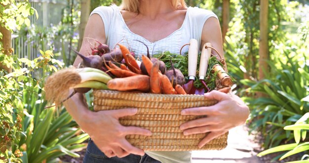 Repleto de vitaminas y minerales Una persona madura sosteniendo una canasta de vegetales recién cosechados