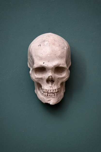 Réplica de um crânio humano pendurado em uma parede de cor verde-azulado conceitual de Halloween, morte e morbidade