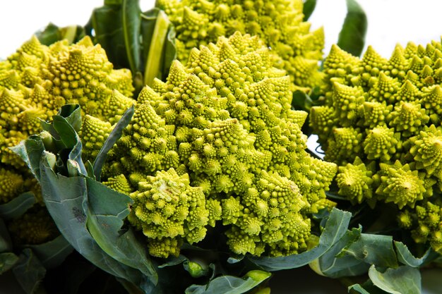 Repolho de brócolis romanesco