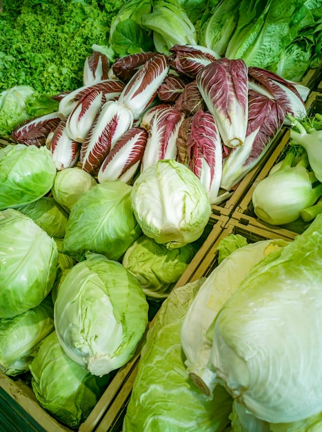 Repolho de legumes, repolho chinês, alface à venda no mercado de um fazendeiro local. Colheita de outono