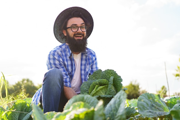 Repolho em conserva nas mãos de um fazendeiro sorridente. Agricultor de homem segurando repolho na folhagem verde. Conceito de colheita