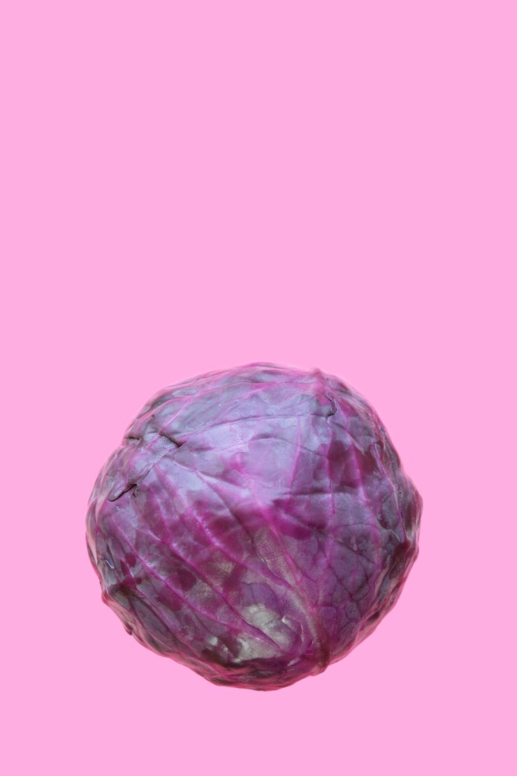 Repolho roxo contra fundo rosa