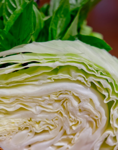 Foto repolho salada verde. acompanhamentos para comida nordestina na tailândia.