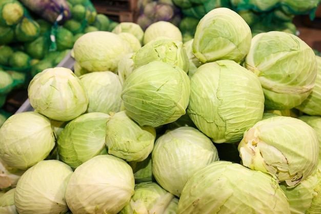 Repollo blanco en cajas en el almacenamiento de verduras