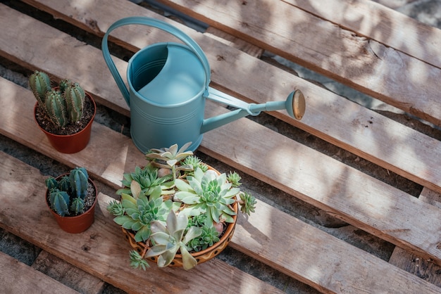 Repotting plantas em casa ferramentas para vasos de jardineiro e regador