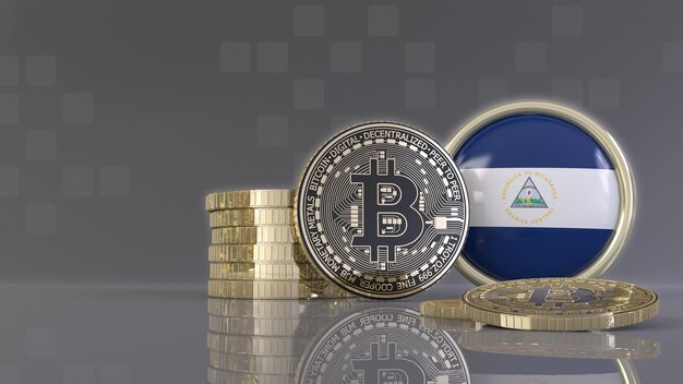 Empresaria tecnológica relata cómo ve la Ley Bitcoin en El Salvador