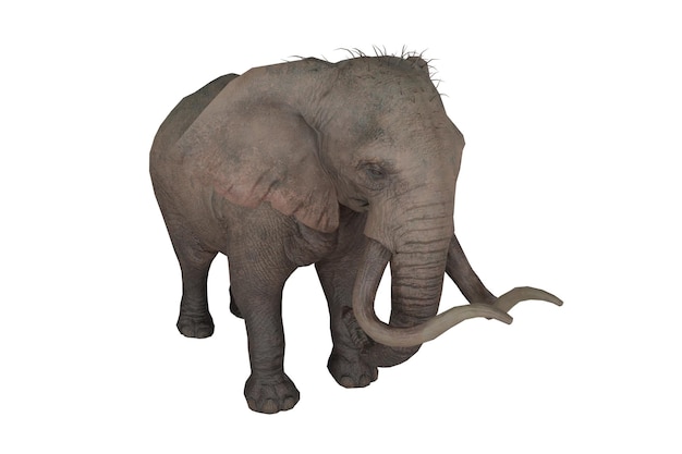 Representación 3D animal elefante realista.