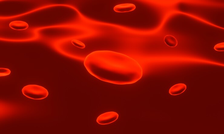 Foto representación 3d. las células rojas de la sangre.