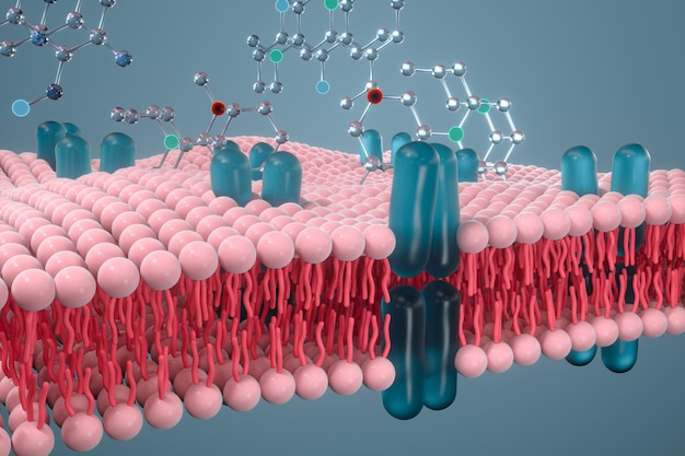 Foto representación 3d del concepto biológico de la membrana celular y la biología