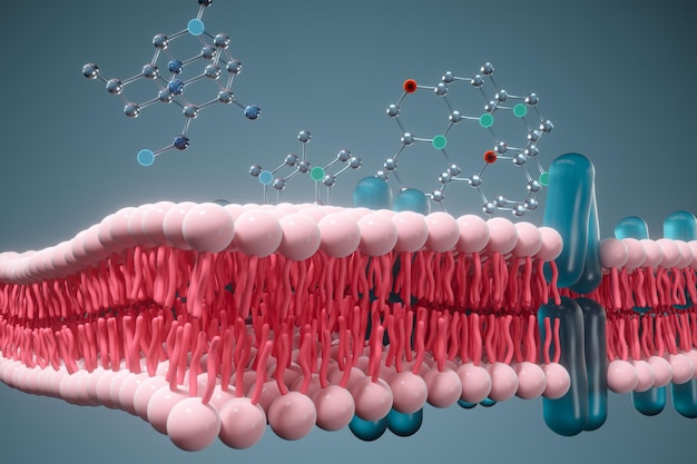 Foto representación 3d del concepto biológico de la membrana celular y la biología