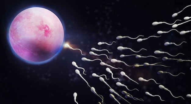 Foto representación 3d contenido de la ciencia de la célula de la esperma y del huevo.