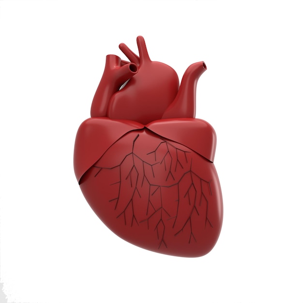 Una representación 3d de corazón rojo