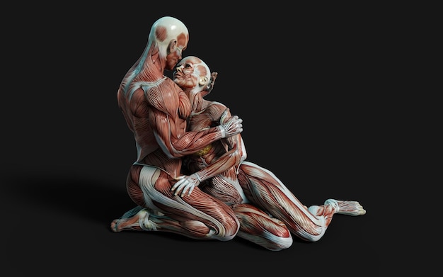 Representación 3D de figuras masculinas y femeninas posan con piel y mapa muscular sobre fondo oscuro