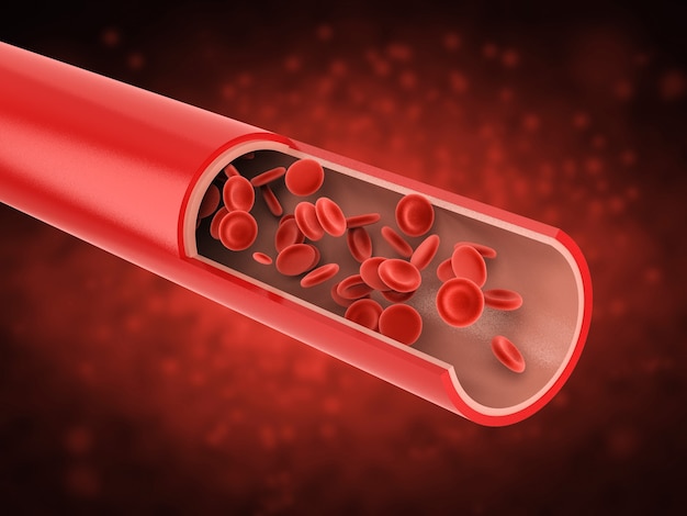 Representación 3D de glóbulos rojos fluyen en la vena